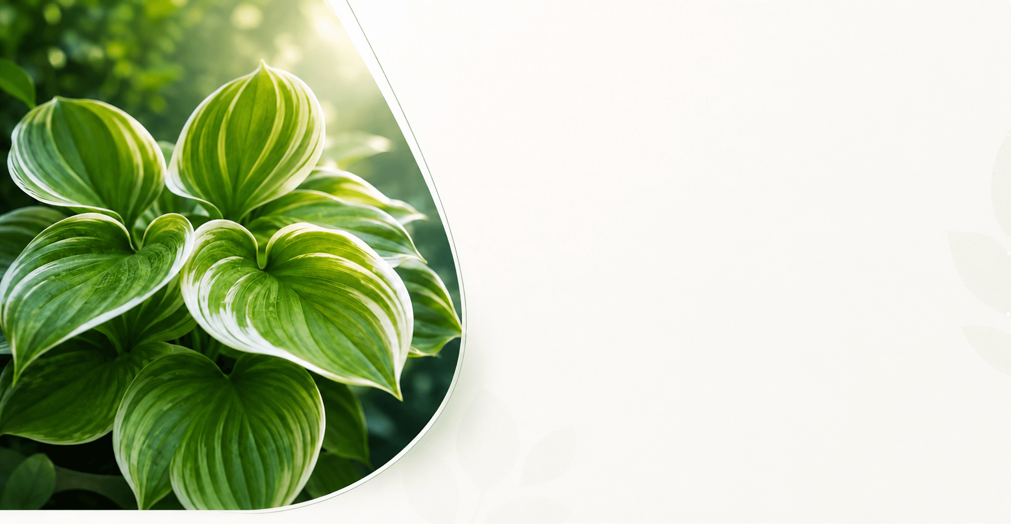 Agriculture background